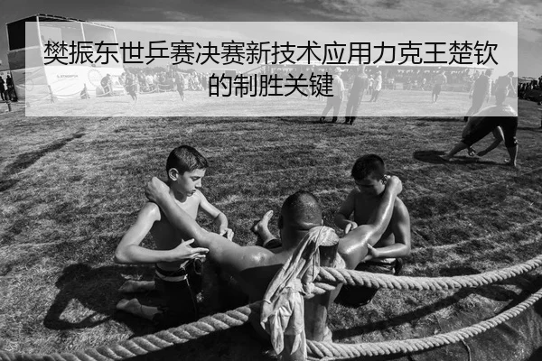 樊振东世乒赛决赛新技术应用力克王楚钦的制胜关键